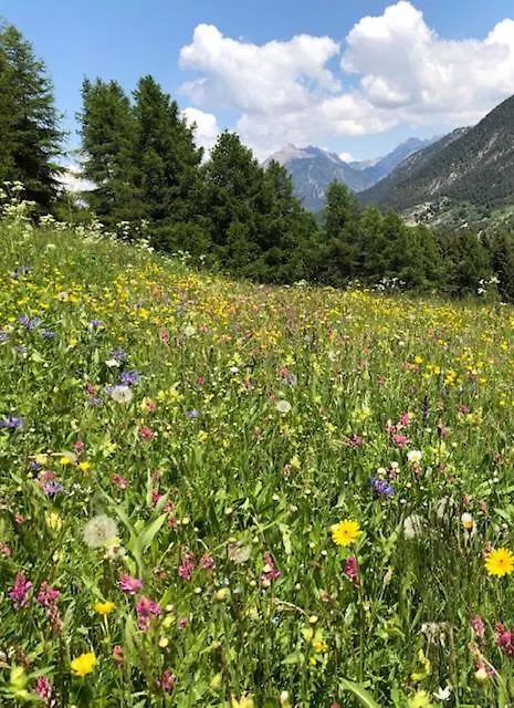 Villa Maison Basse à Vars  Hébergement de vacances